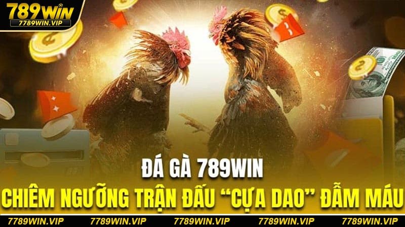 Top kèo cược hấp dẫn thưởng cao tại nhà cái 789WIN