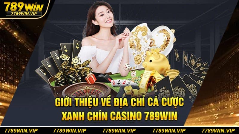 Cần hiểu rõ quy tắc và luật chơi rồi mới đặt tiền cược